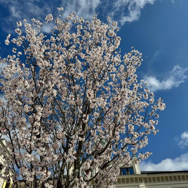 3d194f3d-90e0-42ba-b7c7-e522c664faa9