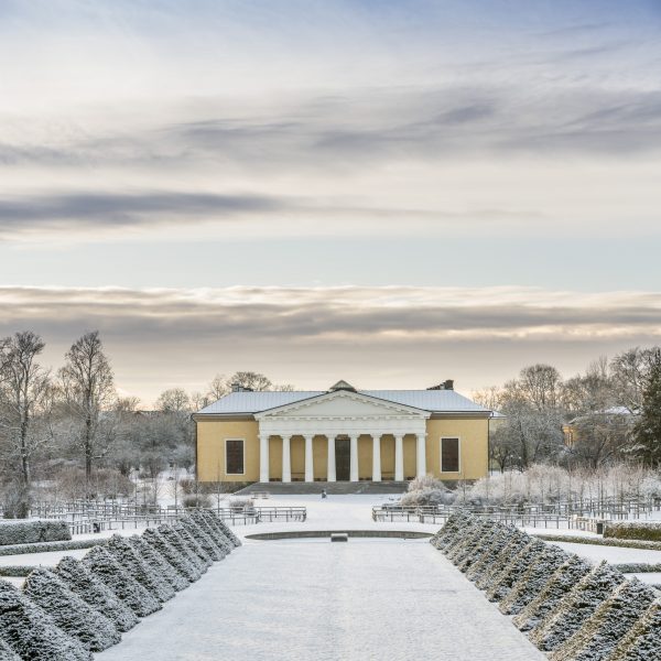 Vinter. Botaniska trädgården. Uppsala.