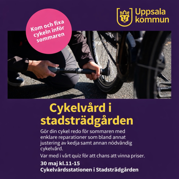 Cykelvård