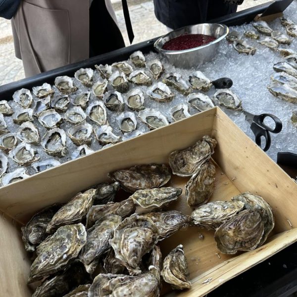 feskarnuppsala_1748687785_3644579748388352706_258147979