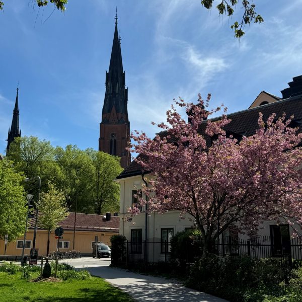 sommarstaden uppsala1 sommarstaden uppsala1