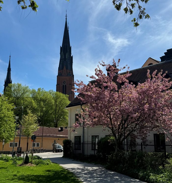 sommarstaden uppsala1