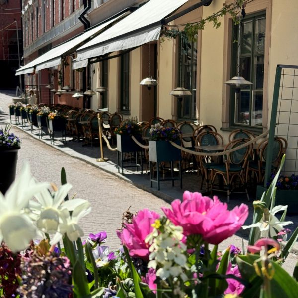 sommarstaden uppsala4 sommarstaden uppsala4