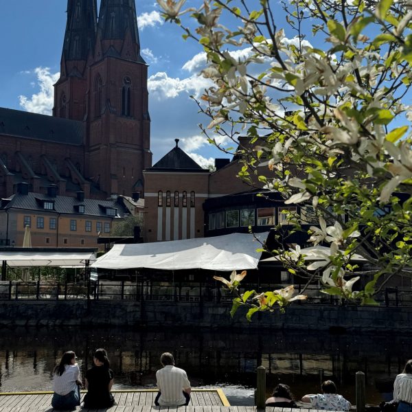 sommarstaden uppsala6 sommarstaden uppsala6